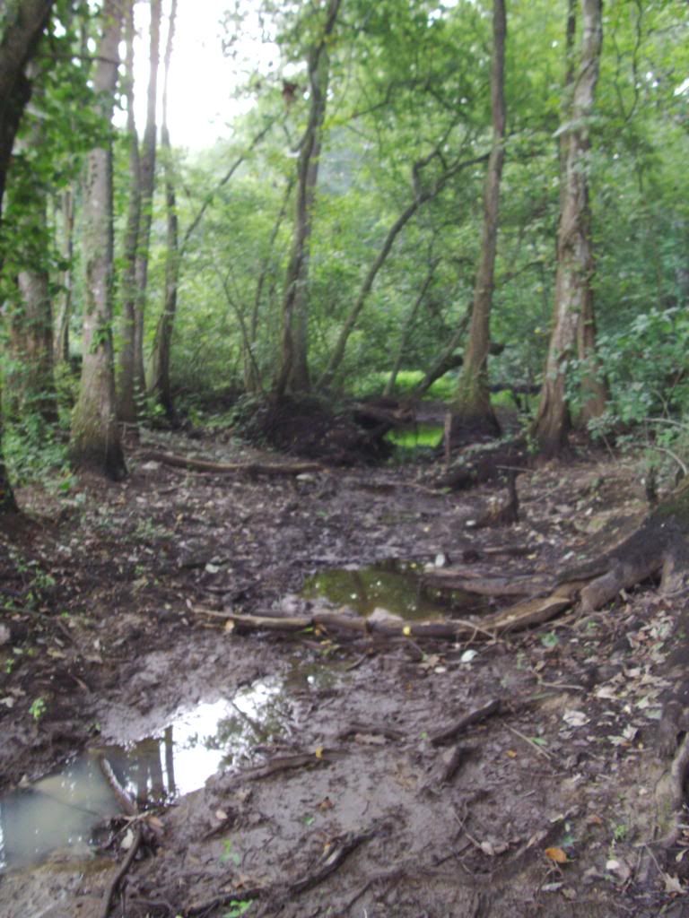Kayaking the Ogeechee River in 2009 *Pic HEAVY* (1